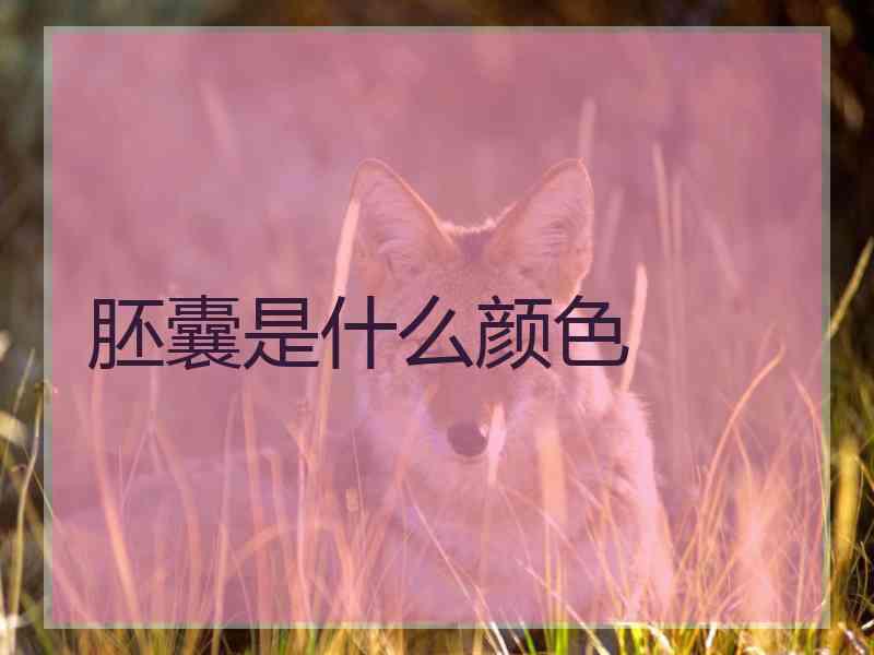 胚囊是什么颜色