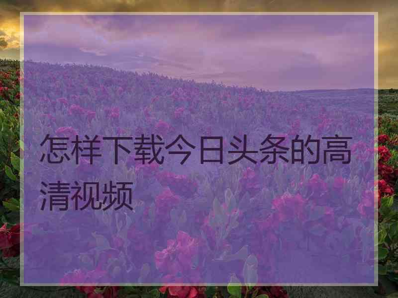 怎样下载今日头条的高清视频