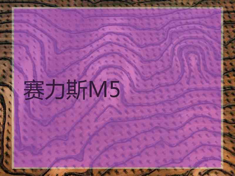 赛力斯M5