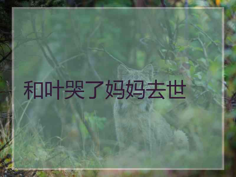 和叶哭了妈妈去世