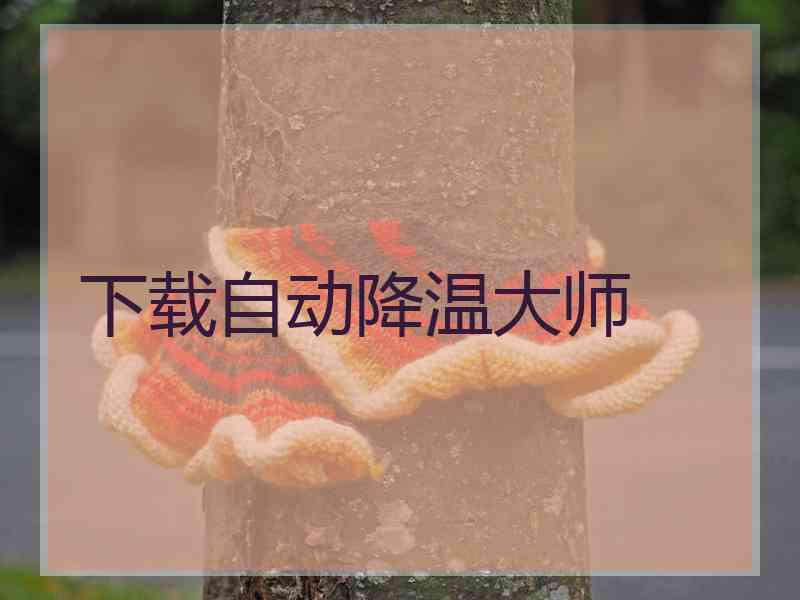 下载自动降温大师