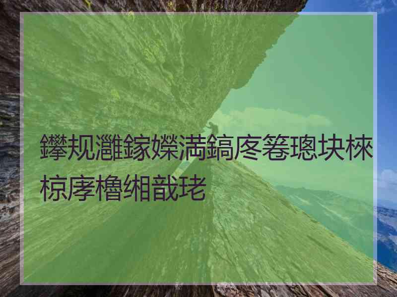 鑻规灉鎵嬫満鎬庝箞璁块棶椋庨櫓缃戠珯