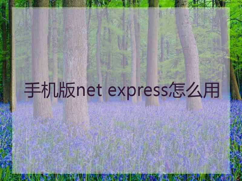 手机版net express怎么用