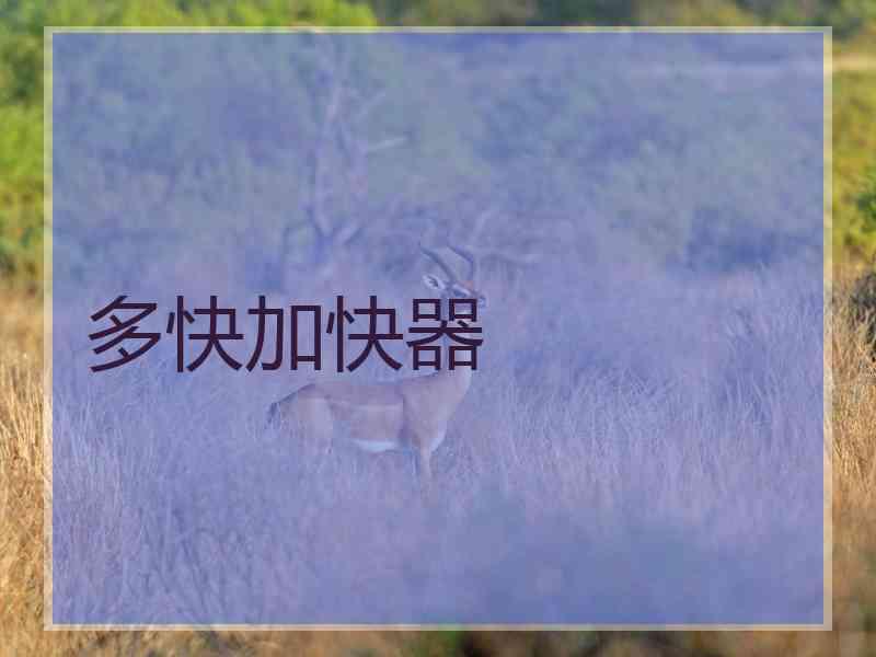 多快加快器