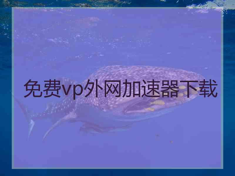 免费vp外网加速器下载