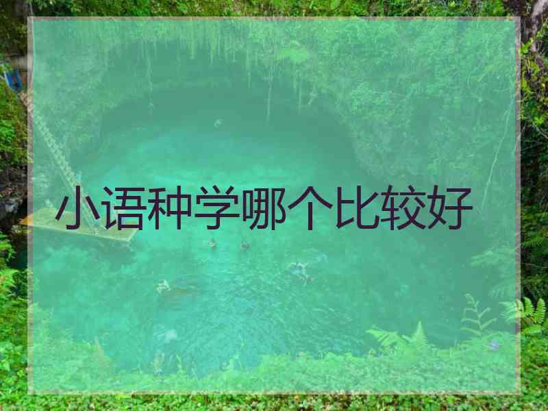 小语种学哪个比较好