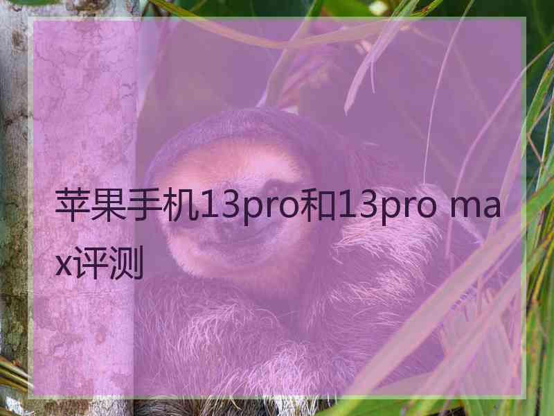 苹果手机13pro和13pro max评测