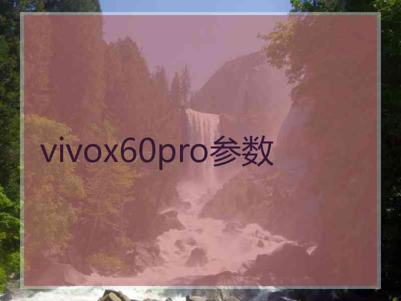 vivox60pro参数