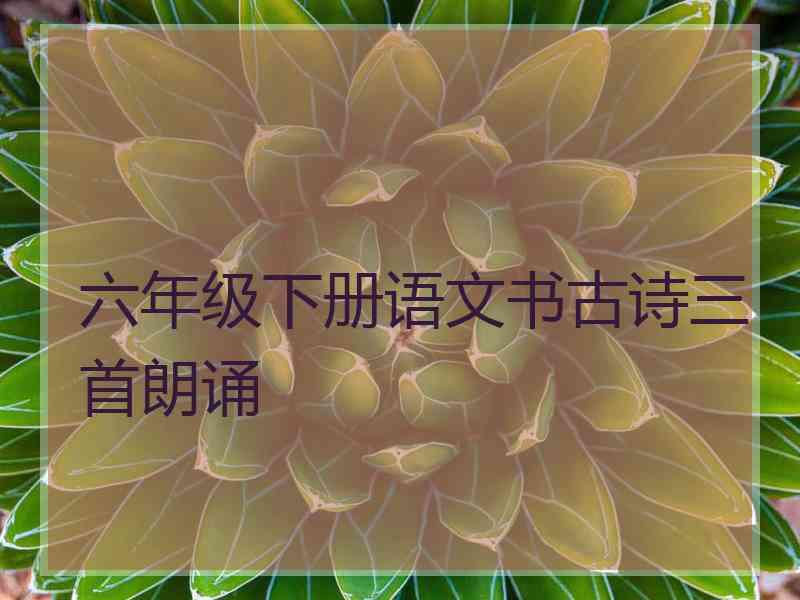 六年级下册语文书古诗三首朗诵