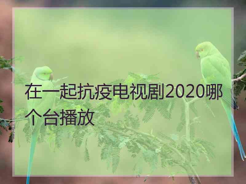 在一起抗疫电视剧2020哪个台播放
