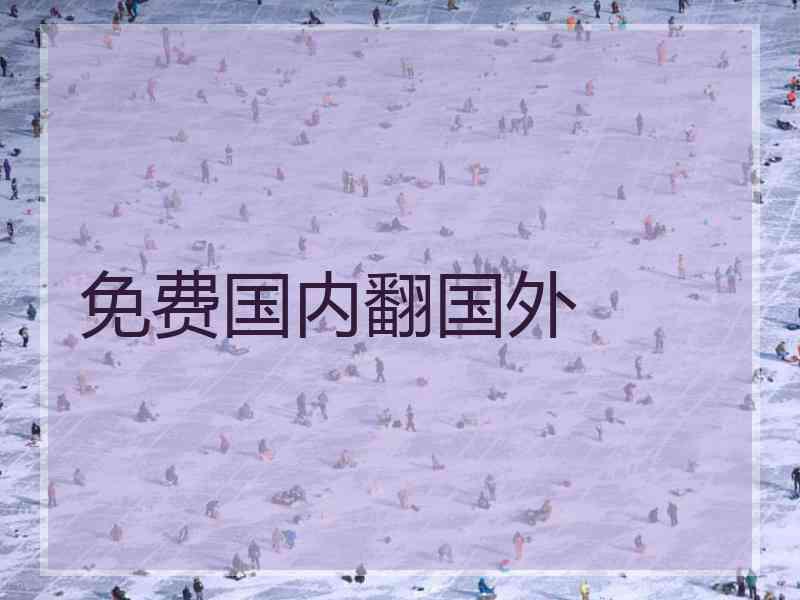 免费国内翻国外