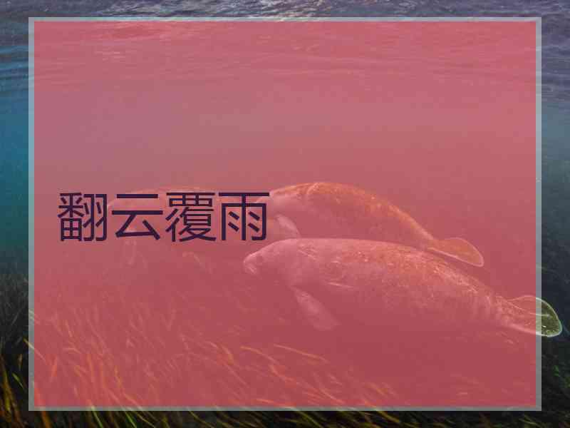 翻云覆雨