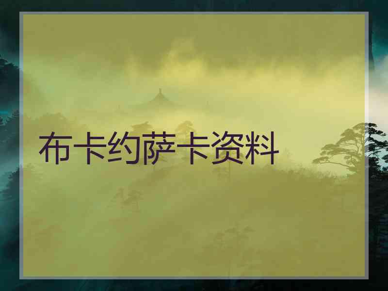 布卡约萨卡资料