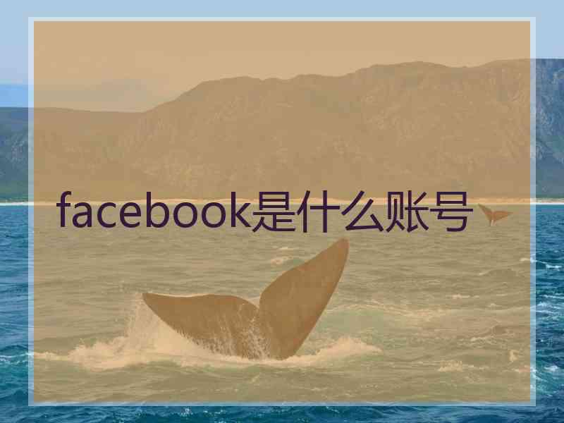 facebook是什么账号