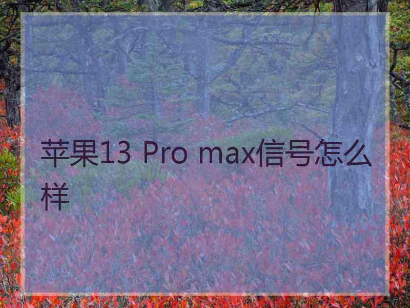 苹果13 Pro max信号怎么样