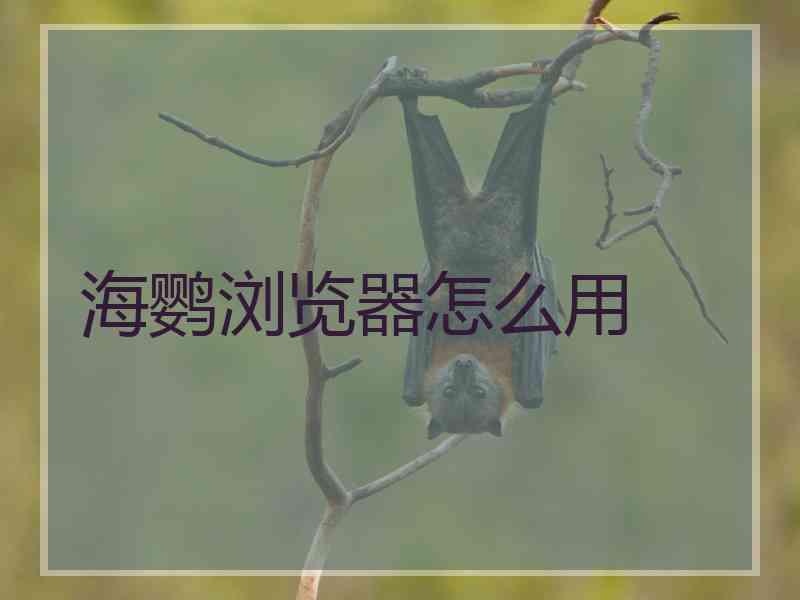 海鹦浏览器怎么用