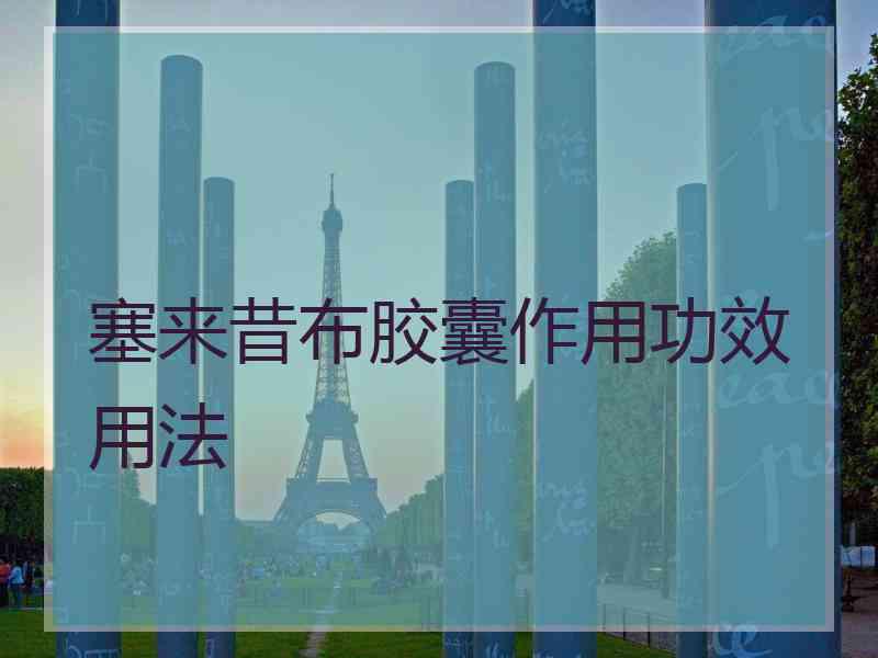 塞来昔布胶囊作用功效用法