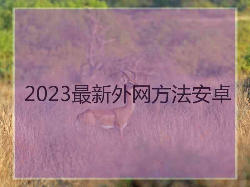 2023最新外网方法安卓