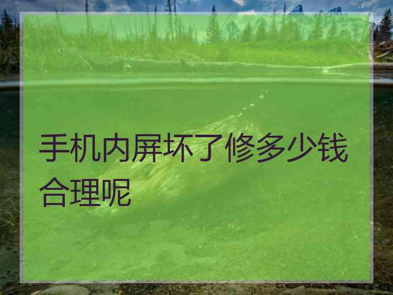 手机内屏坏了修多少钱合理呢