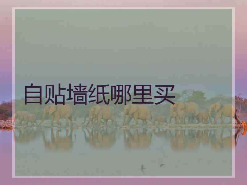 自贴墙纸哪里买