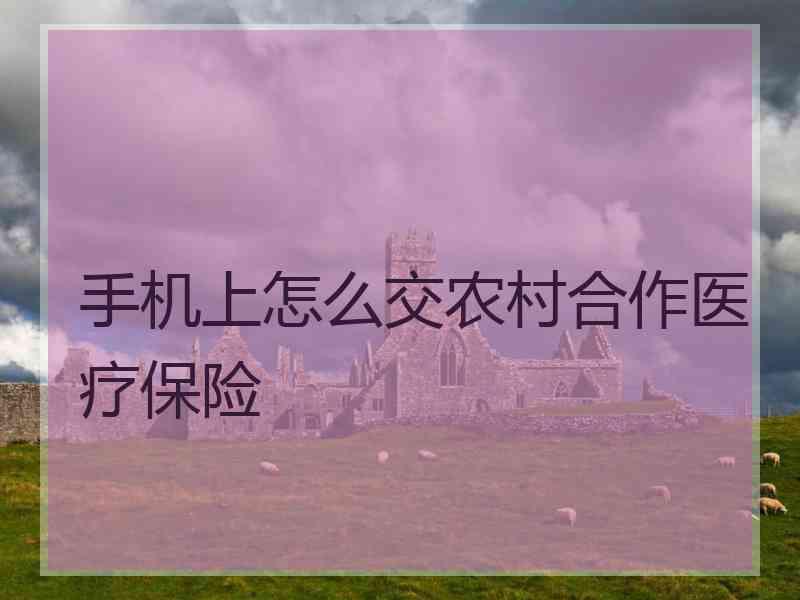 手机上怎么交农村合作医疗保险