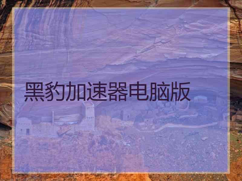 黑豹加速器电脑版