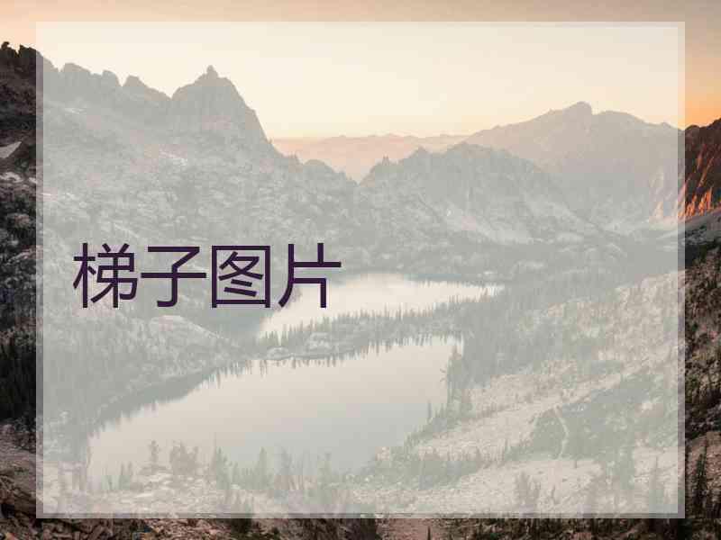 梯子图片