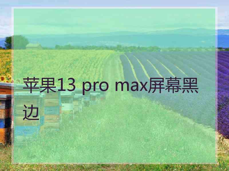 苹果13 pro max屏幕黑边