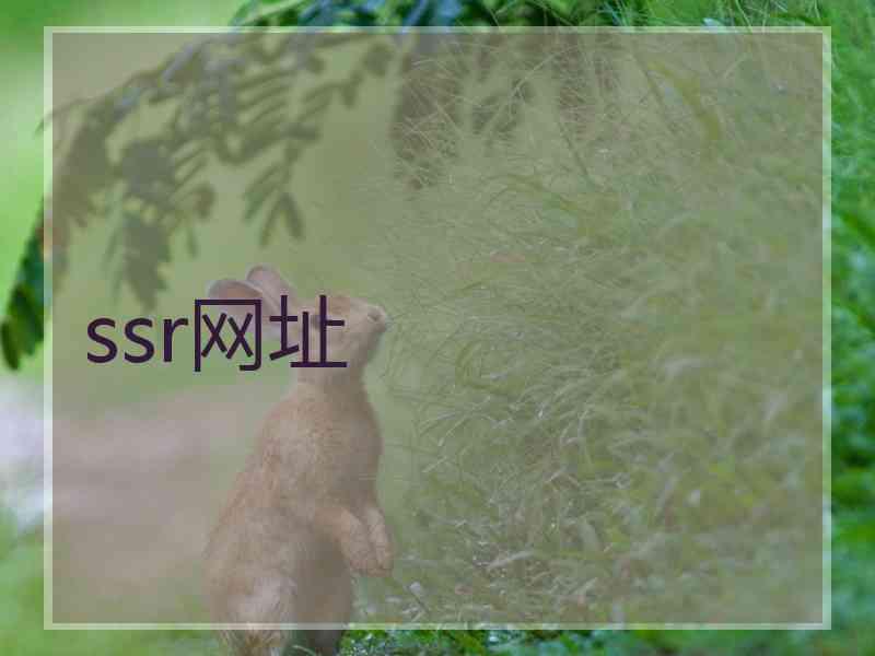 ssr网址