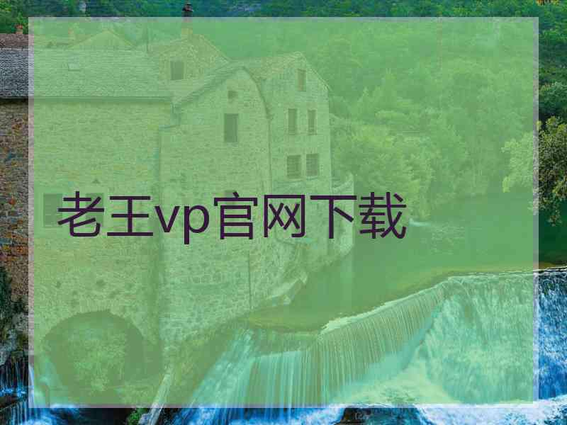 老王vp官网下载