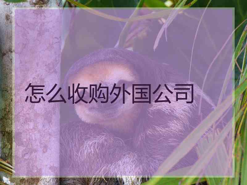 怎么收购外国公司