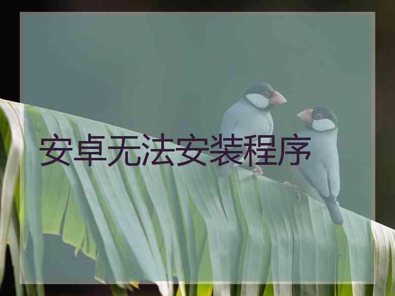 安卓无法安装程序