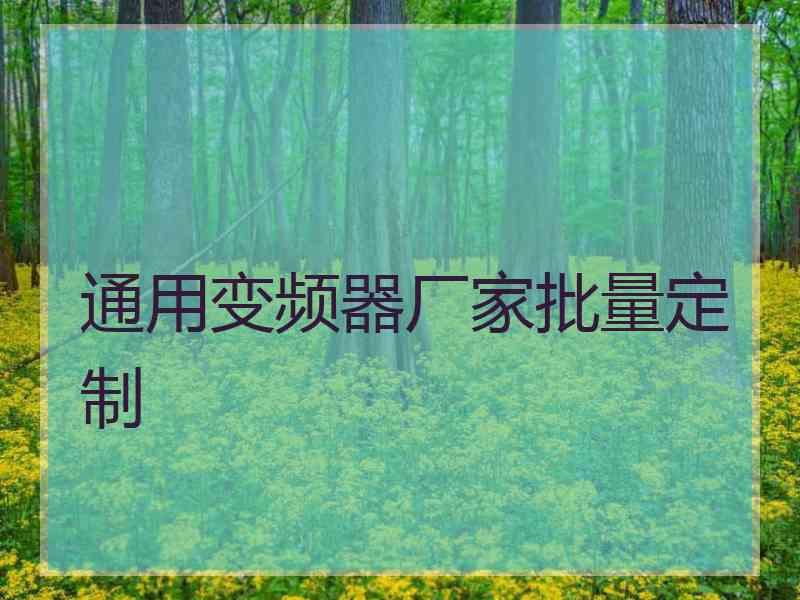 通用变频器厂家批量定制
