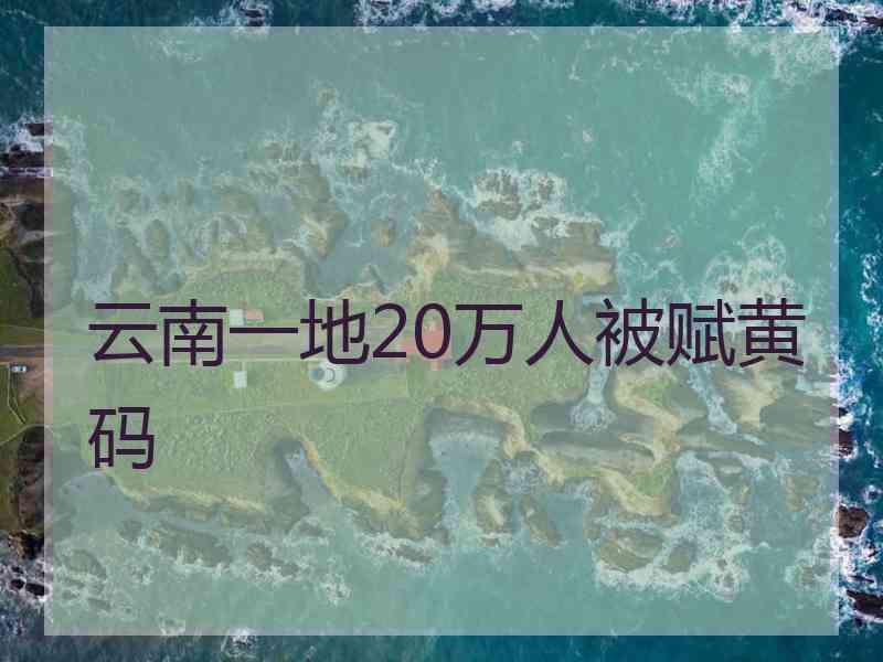 云南一地20万人被赋黄码