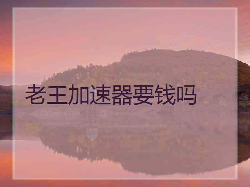 老王加速器要钱吗