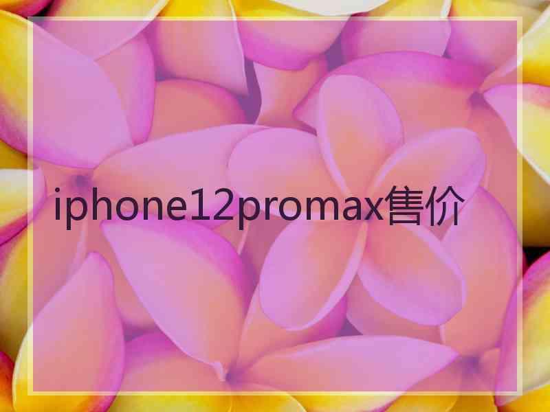 iphone12promax售价