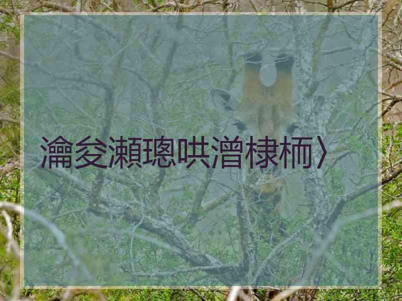 瀹夋瀬璁哄潧棣栭〉