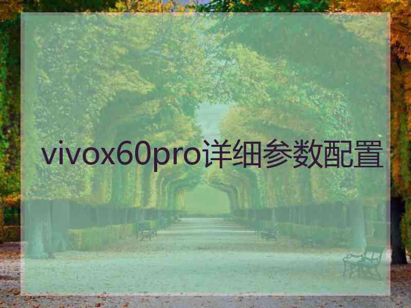 vivox60pro详细参数配置