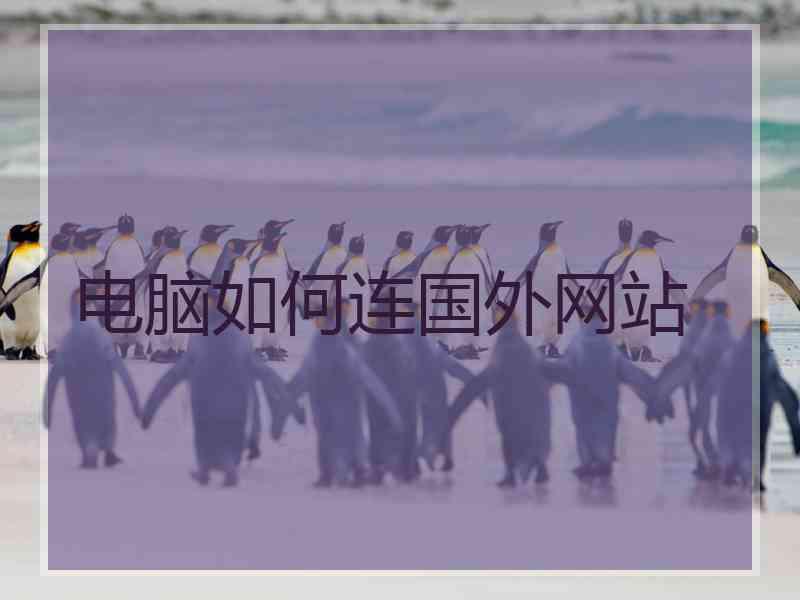 电脑如何连国外网站