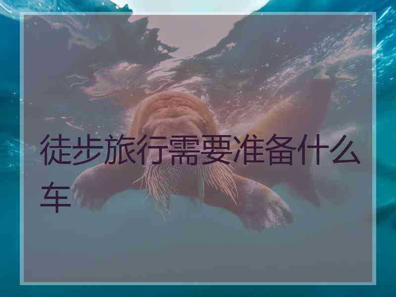 徒步旅行需要准备什么车