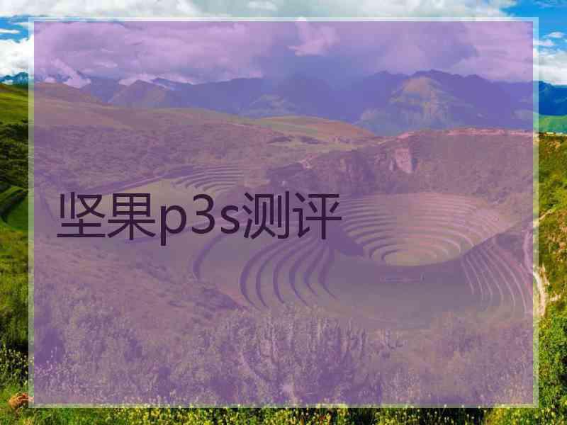 坚果p3s测评