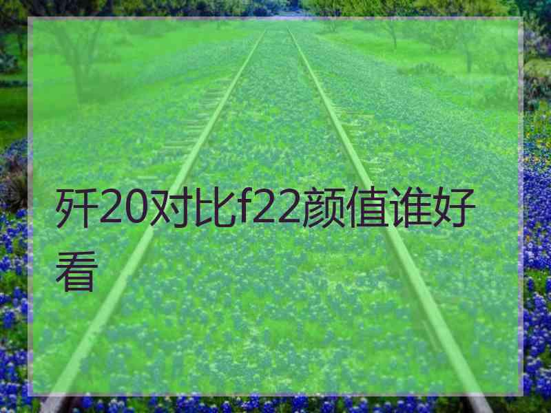 歼20对比f22颜值谁好看