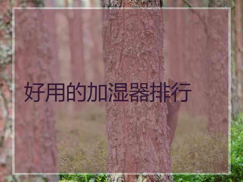 好用的加湿器排行
