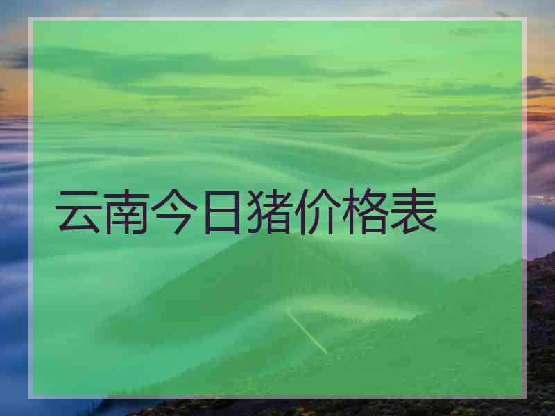 云南今日猪价格表