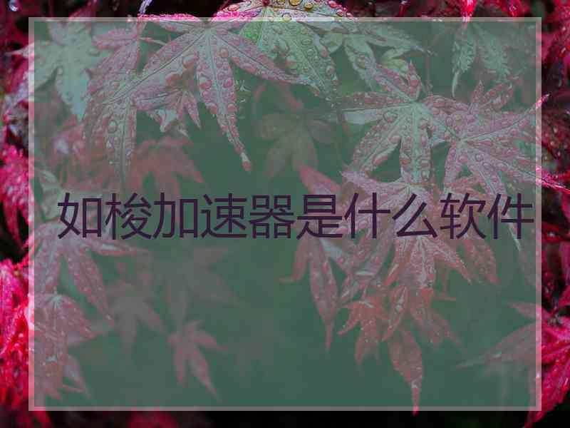 如梭加速器是什么软件