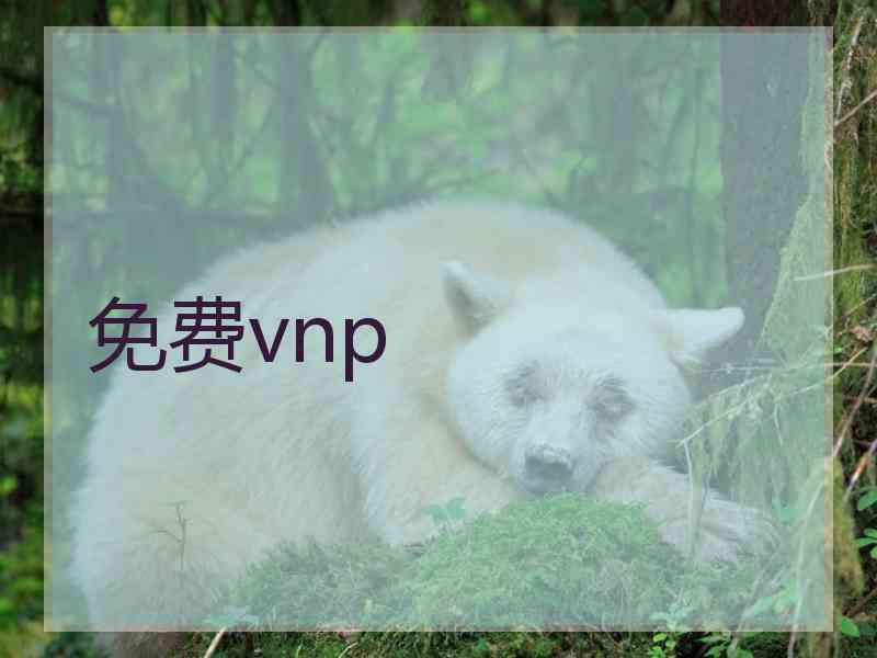 免费vnp