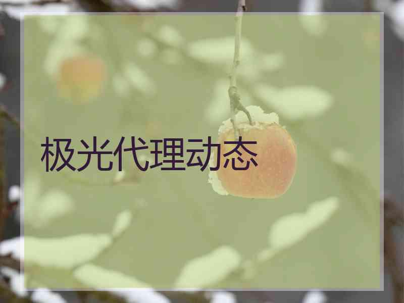 极光代理动态