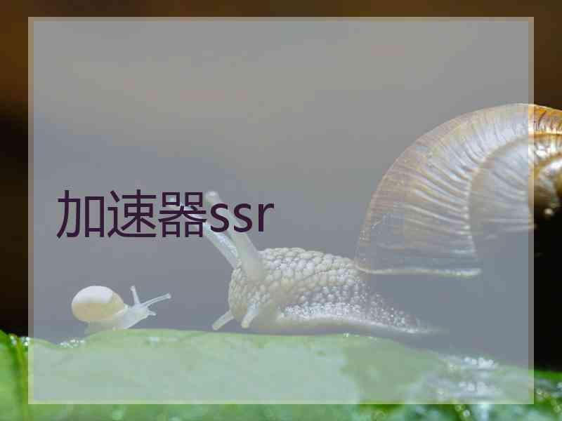 加速器ssr