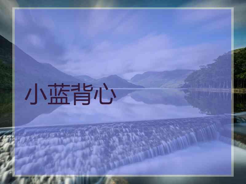 小蓝背心