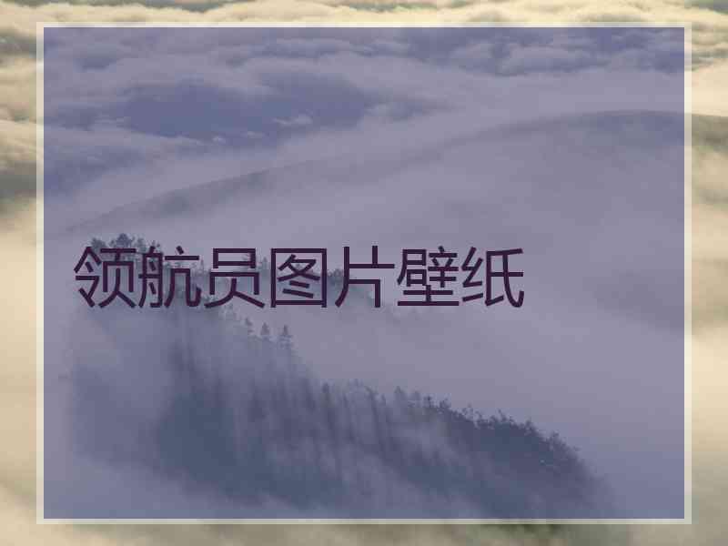 领航员图片壁纸